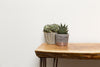 Nattura Handmade Hairpin Live Edge Mini Desk Made to Order