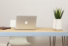 DVEGR - Handmade Industrial Chic Reclaimed Wood Hairpin Leg Desk | Hand & Craft Furniture